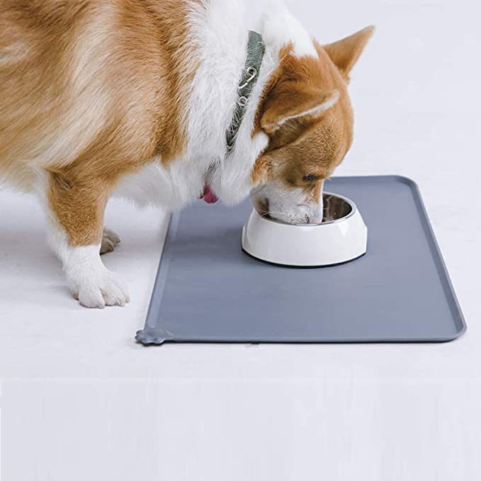 Pet Dog Stainless Steel Feeder