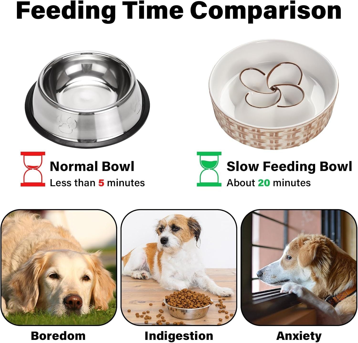 Ceramic Slow Dog Feeder