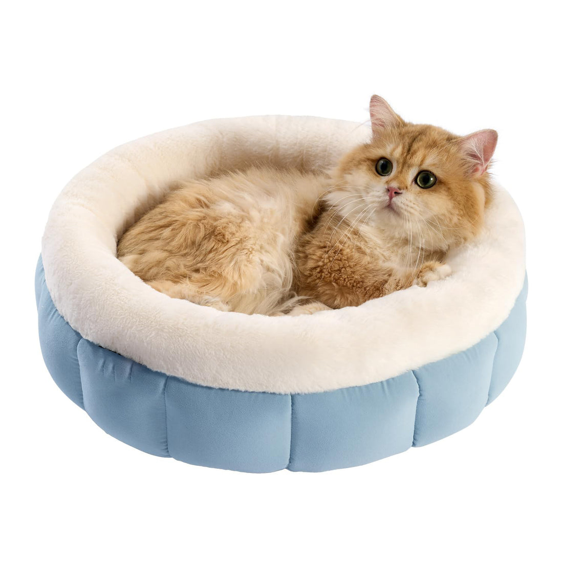 Round Cat Beds For Indoor Cats