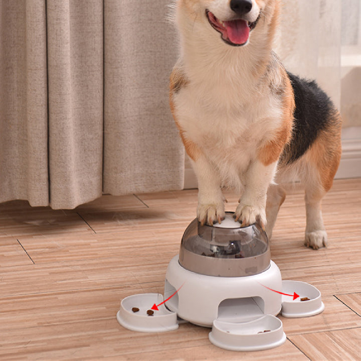Dog Automatic Pet Feeder