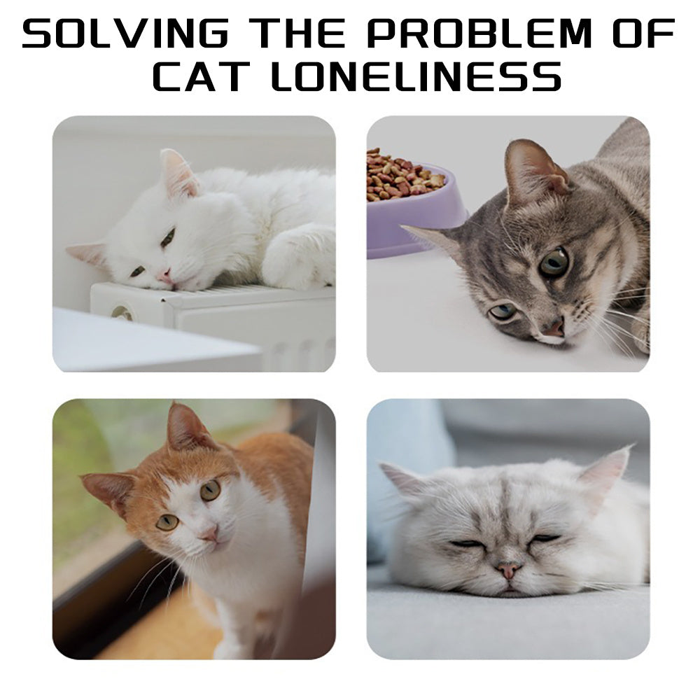 Interactive Dog Tug Toy