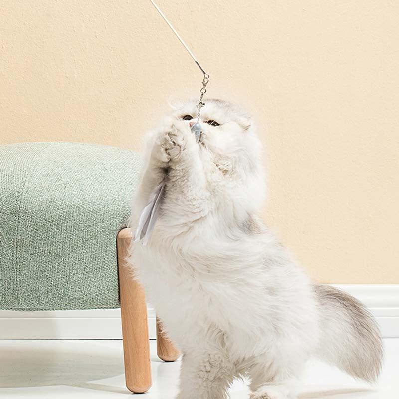 Cat Feather Funny Cat Stick