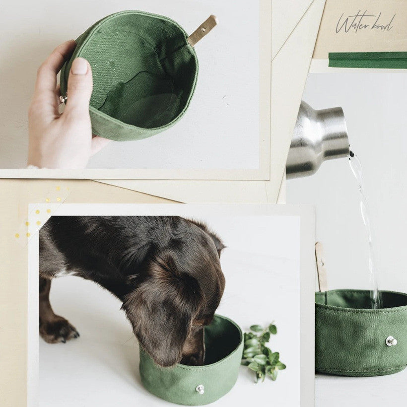 Pet Feeding Bowl