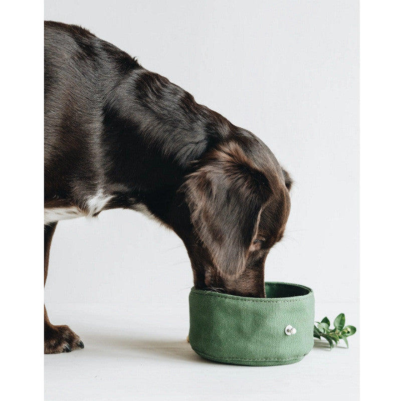 Pet Feeding Bowl
