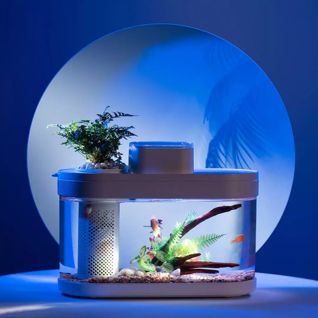 Geometric Amphibious Ecological Lazy Fish Tank