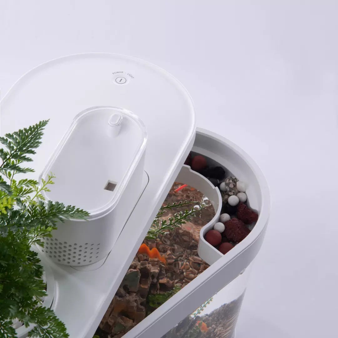 Geometric Amphibious Ecological Lazy Fish Tank