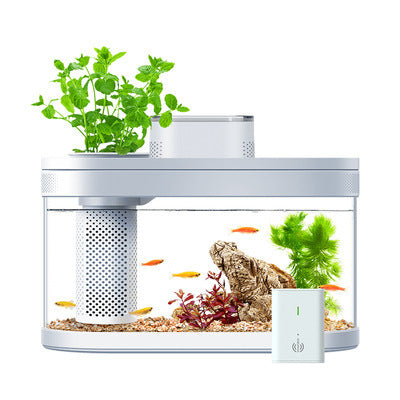 Geometric Amphibious Ecological Lazy Fish Tank