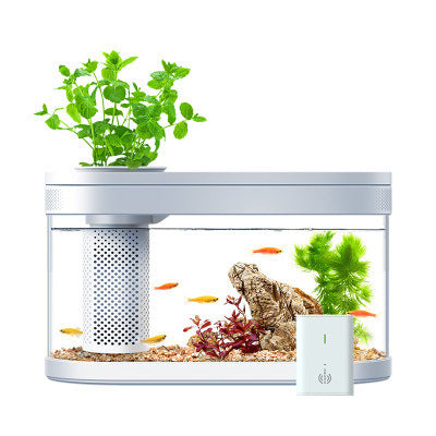 Geometric Amphibious Ecological Lazy Fish Tank