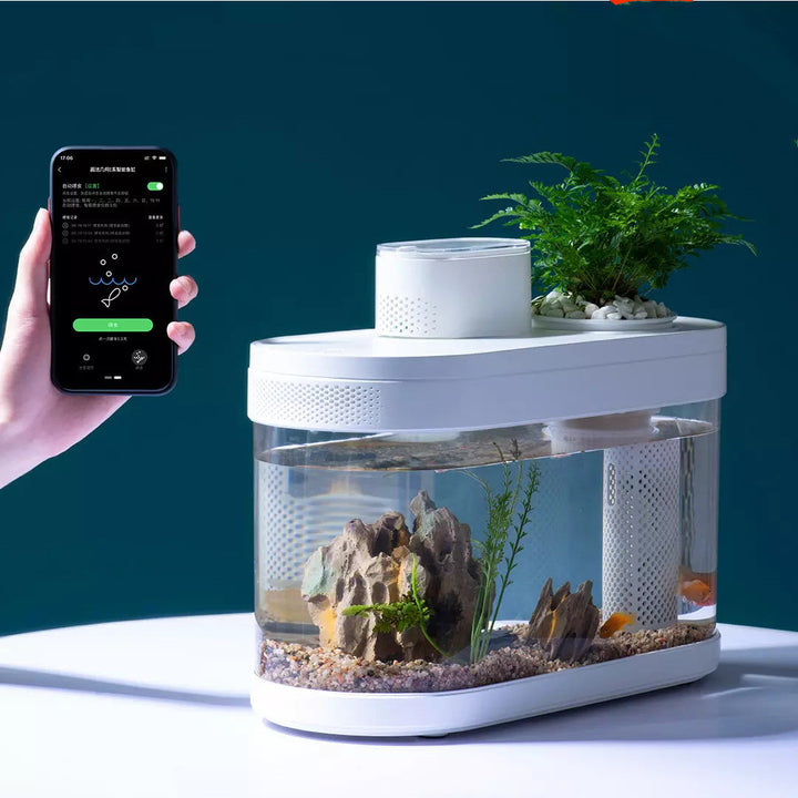 Geometric Amphibious Ecological Lazy Fish Tank
