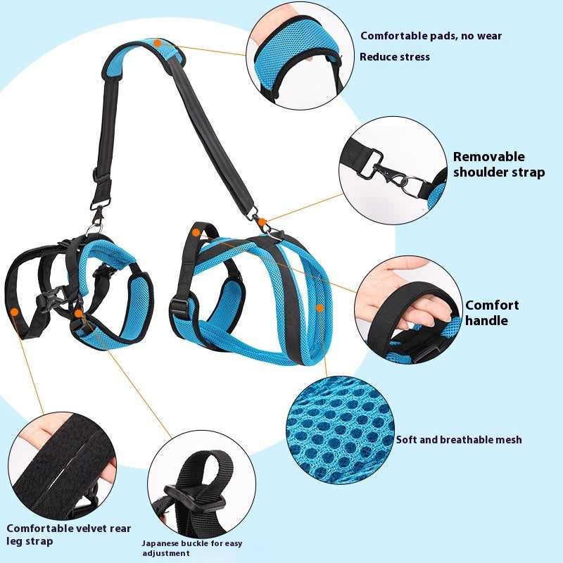Pet Supplies Dog Auxiliary Strap Leash