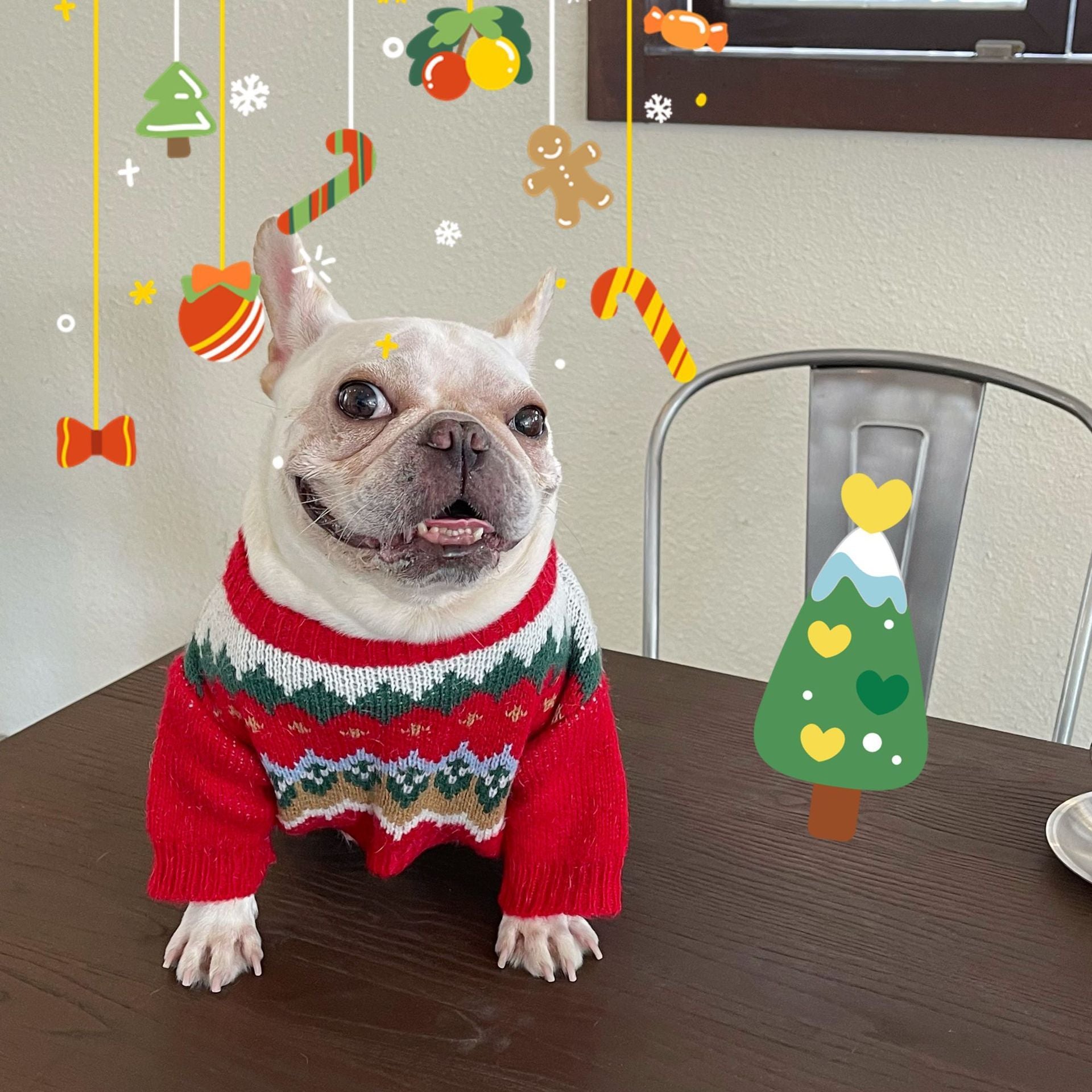 Festive Christmas Sweater for Dogs & Cats – Cozy Holiday Pet Outfit