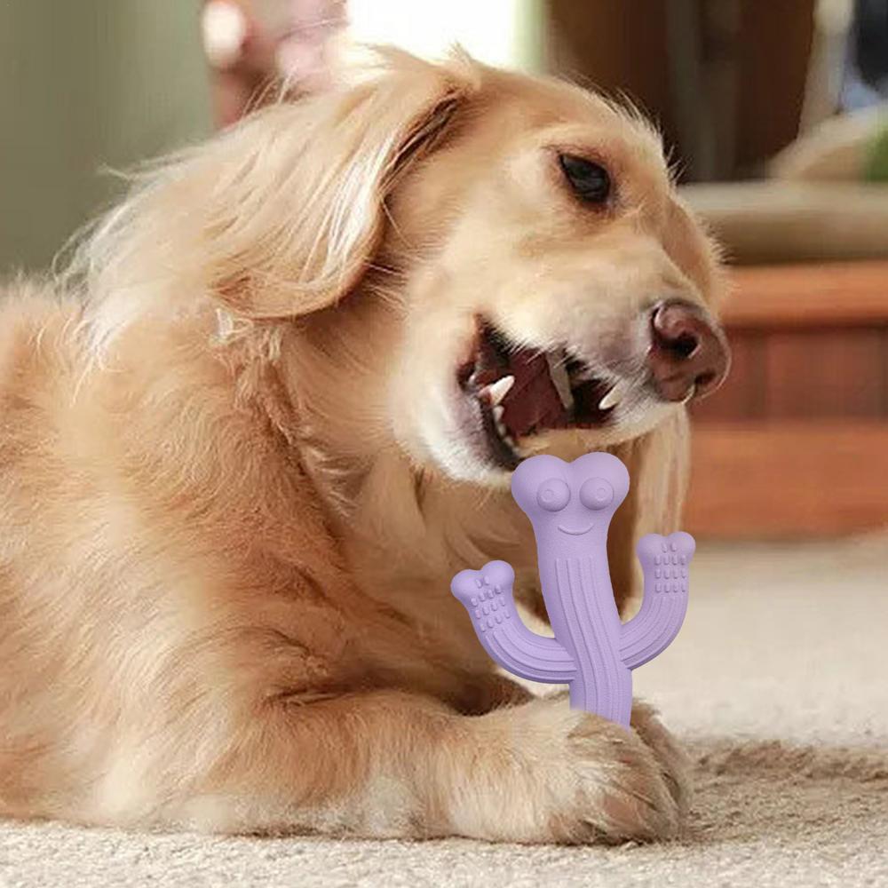 Cactus Puppy Dog Chew Toy