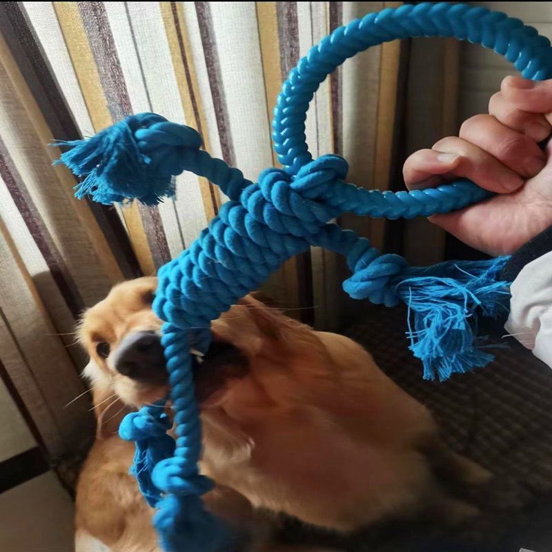Modern Dog Bite Toy