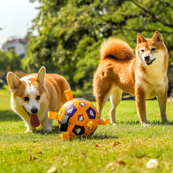 Pet Interactive Football Dog Toy