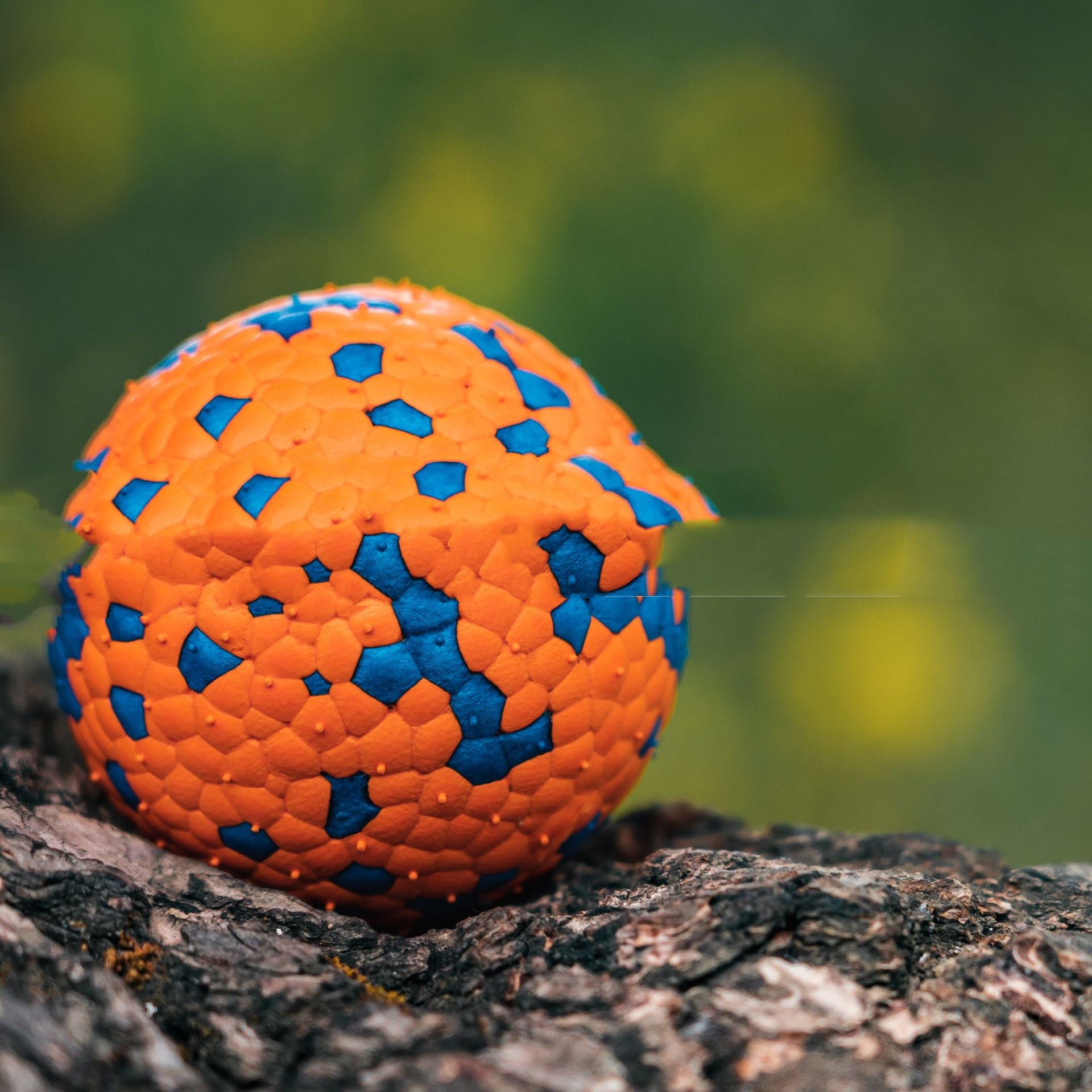 Resistant To Bite And Chew Dog Toy