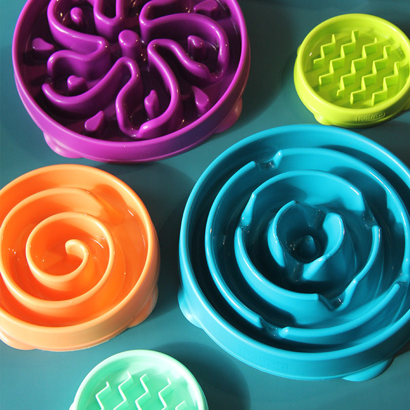 Pet Slow Feeding Bowl