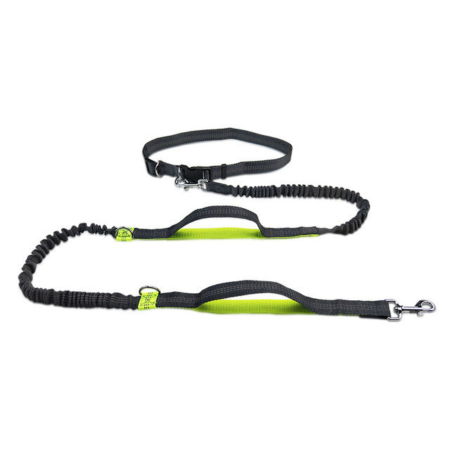 Adjustable Pet Leash
