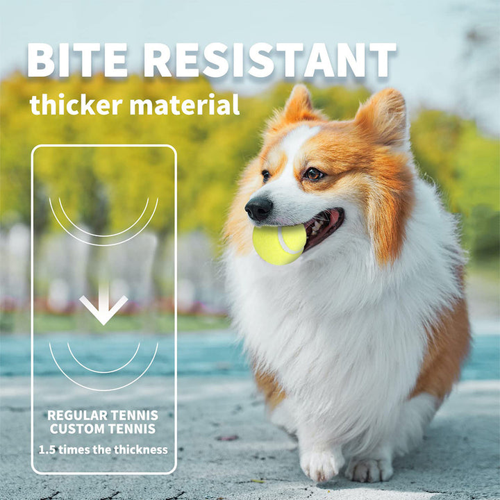 Pet Automatic Electric Tennis Launcher