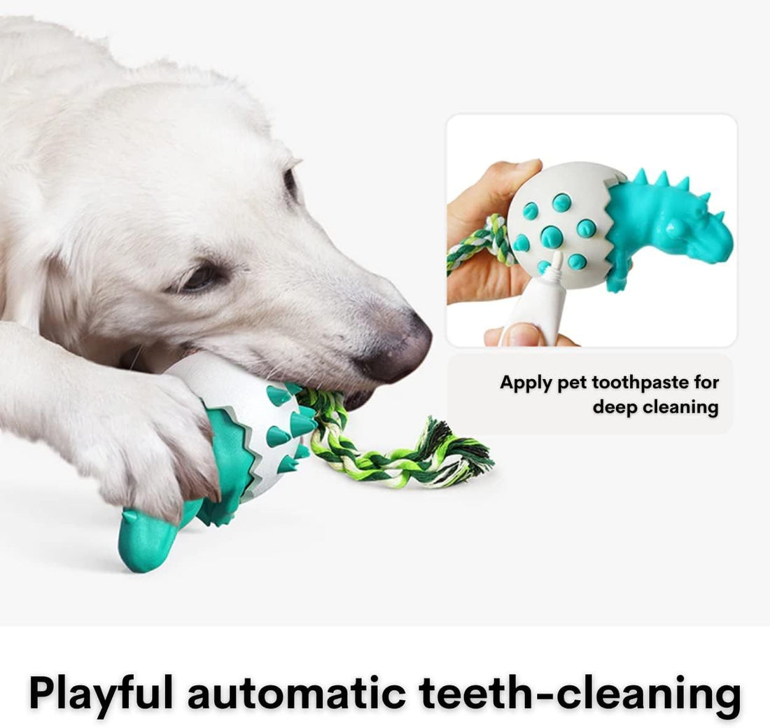 Durable Rubber Chew Pet Toy