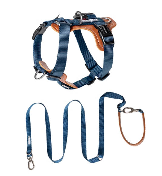 Multifunctional Explosion-proof Dog Leash