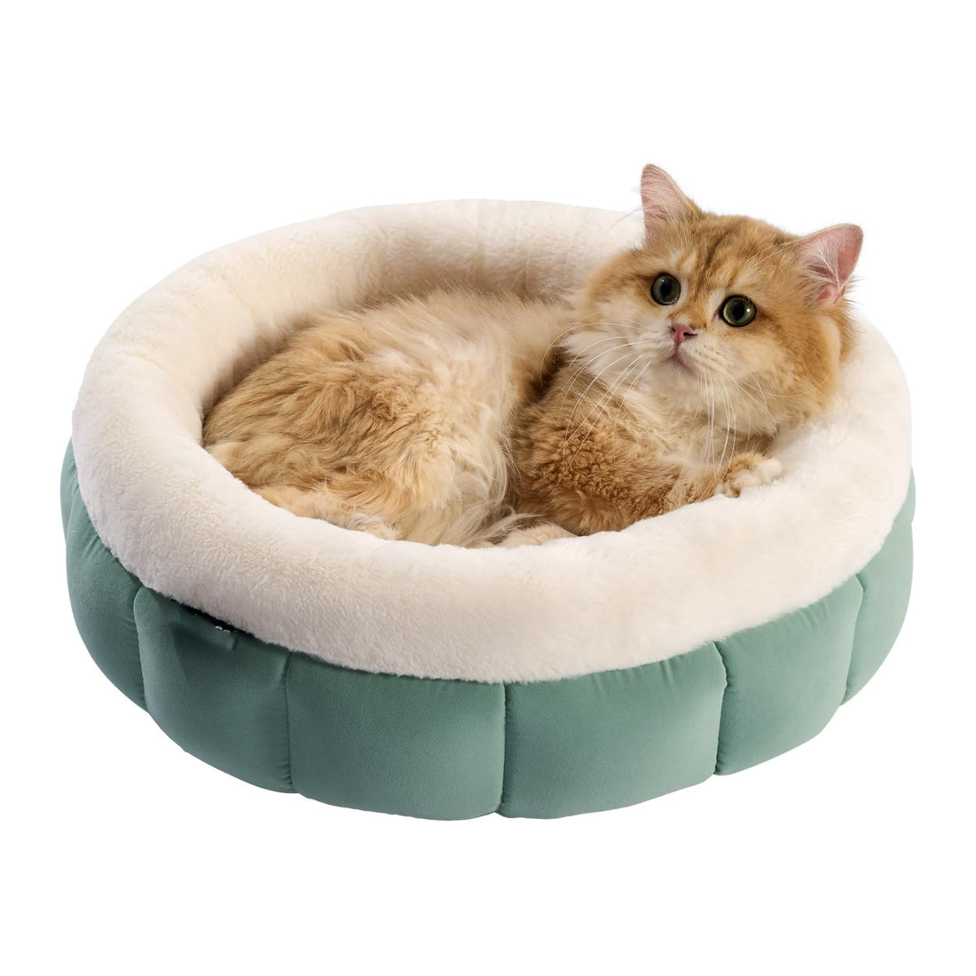 Round Cat Beds For Indoor Cats