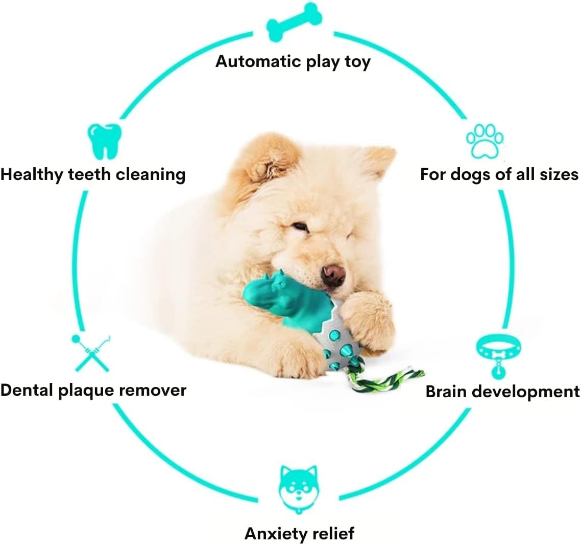 Durable Rubber Chew Pet Toy