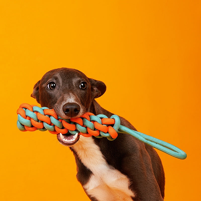 Interactive Small And Medium Dog Knot Toy