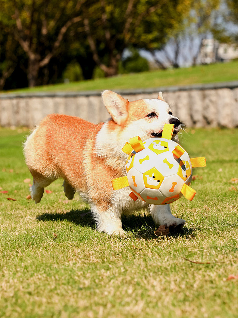 Pet Interactive Football Dog Toy