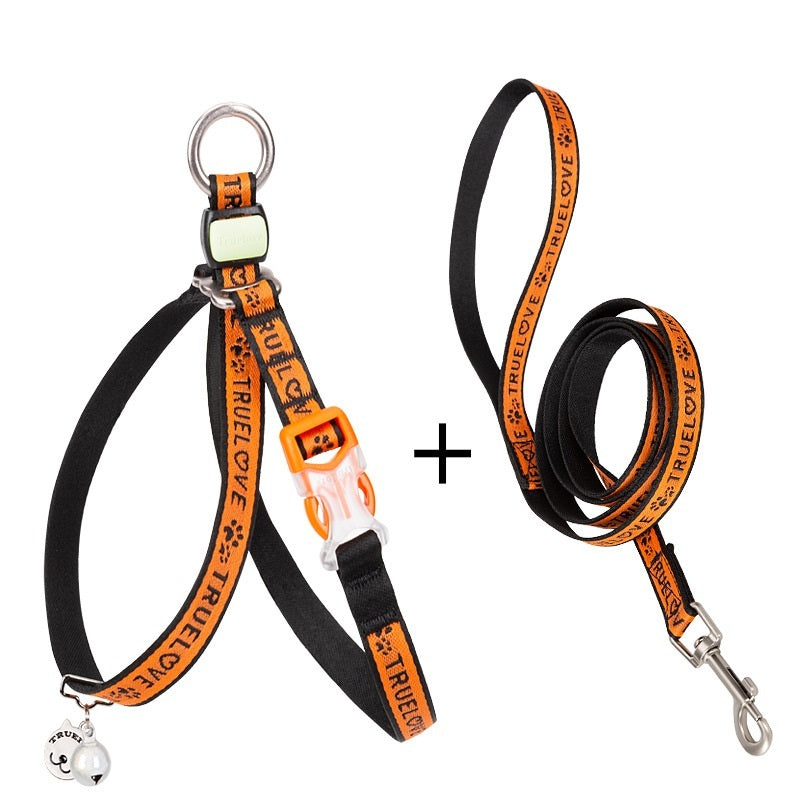 Small Dog Teddy Leash