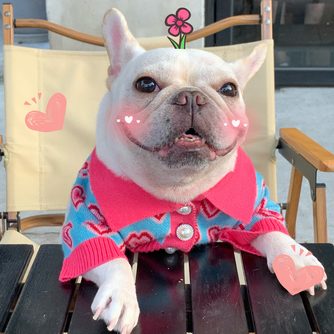 Pet Trendy Dog Sweater