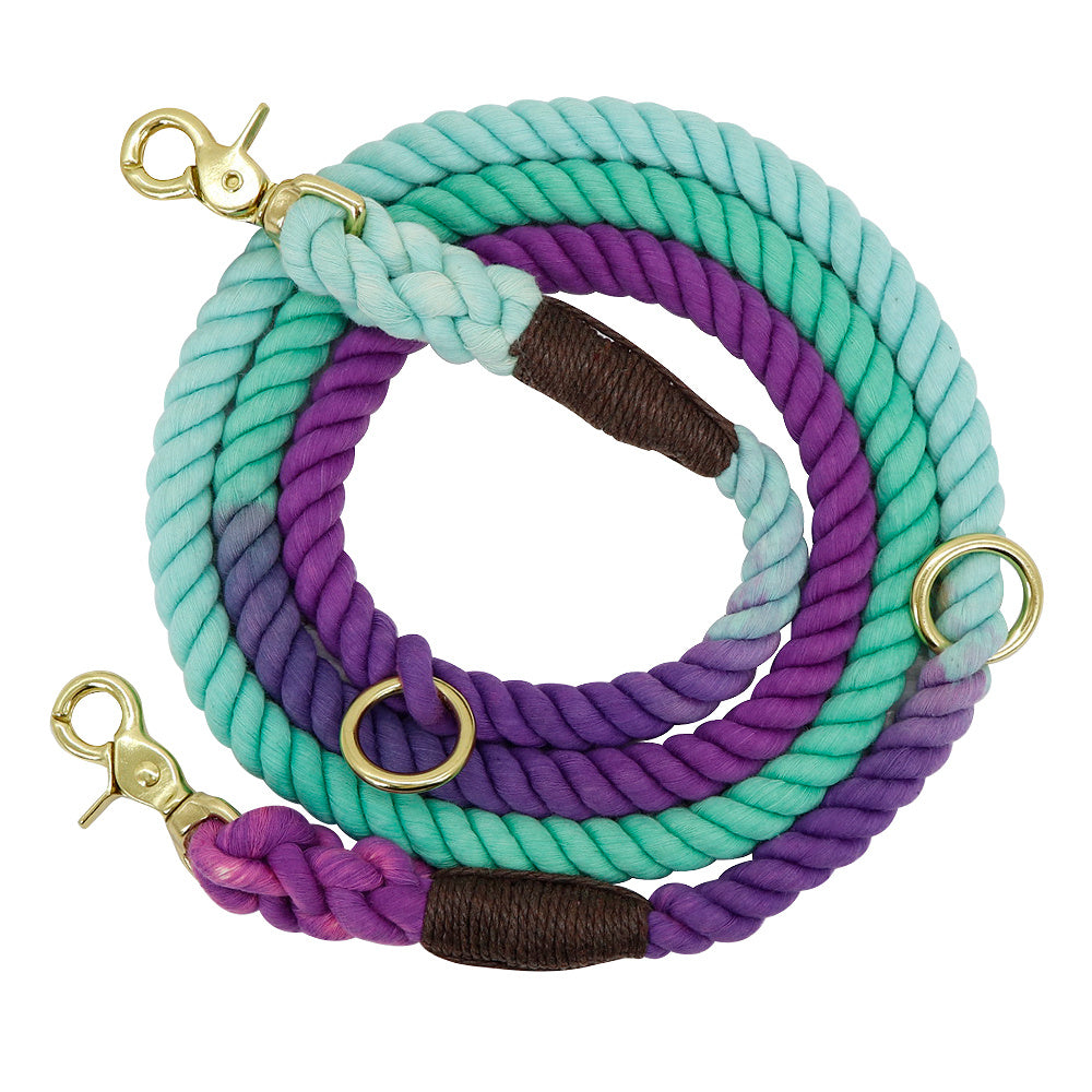 Gradient Color Pet Accessories Leashes