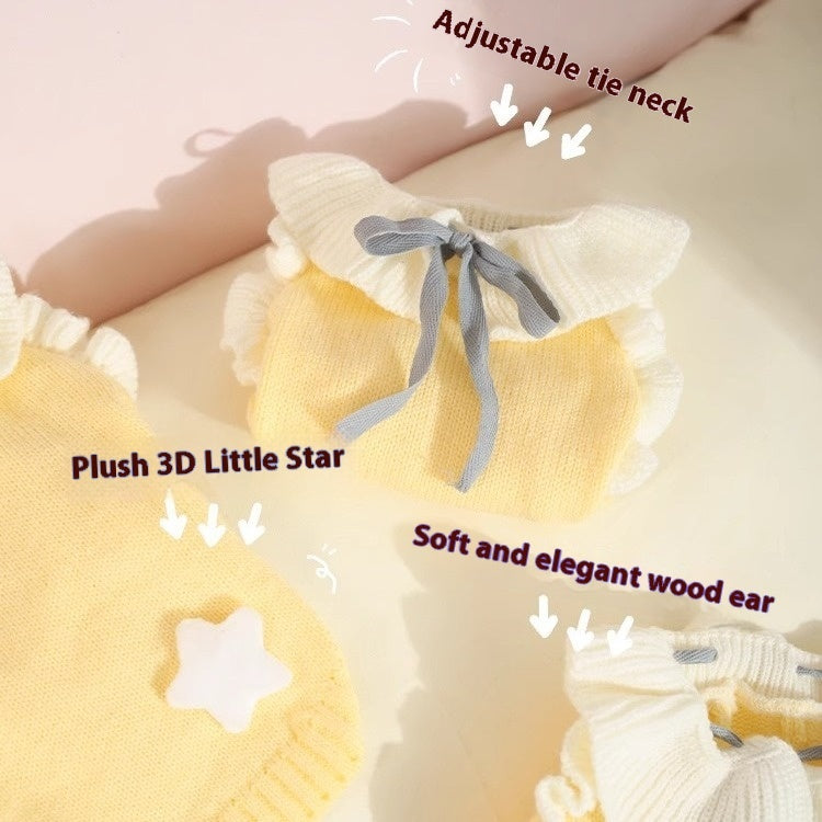 Autumn Pet  Puppy Sweater