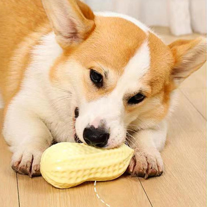 Dog Chewing Toy