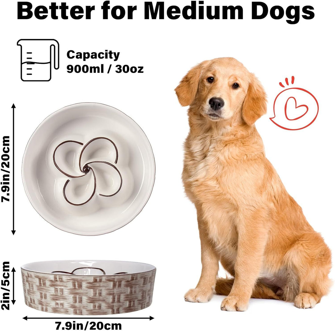 Ceramic Slow Dog Feeder