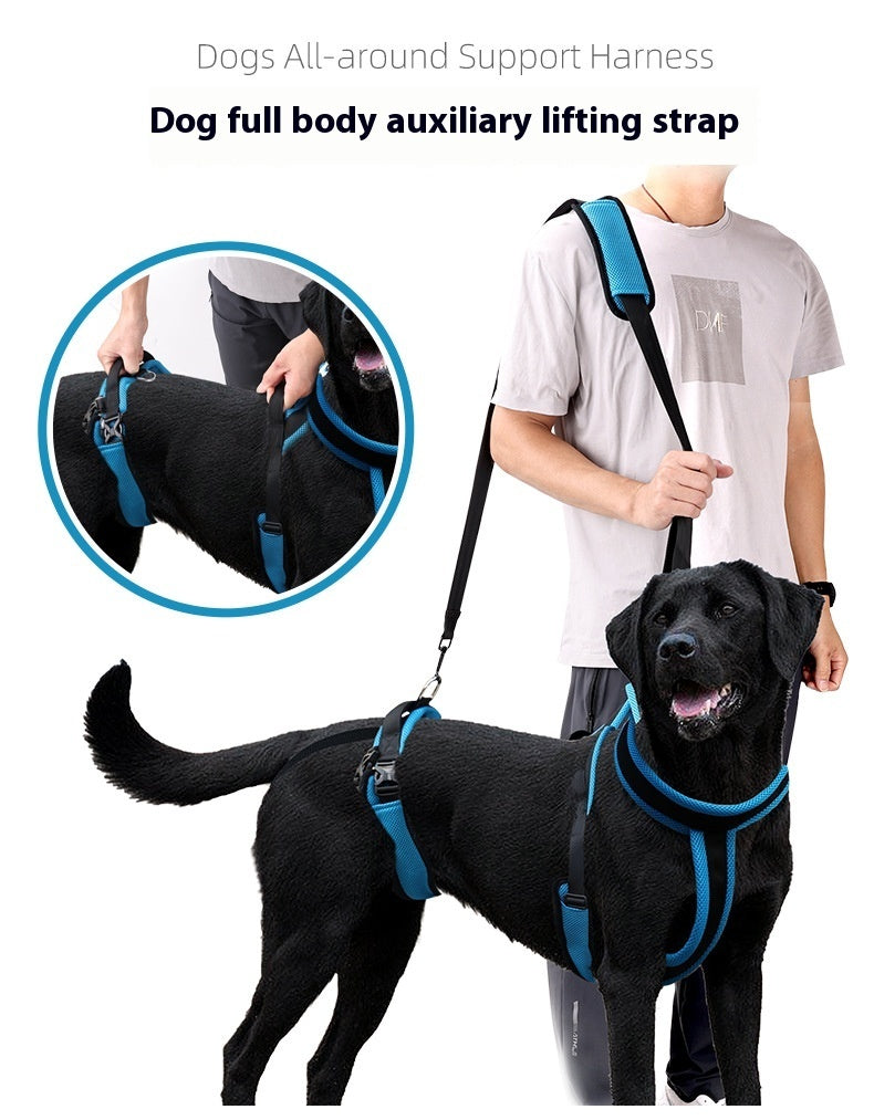 Pet Supplies Dog Auxiliary Strap Leash