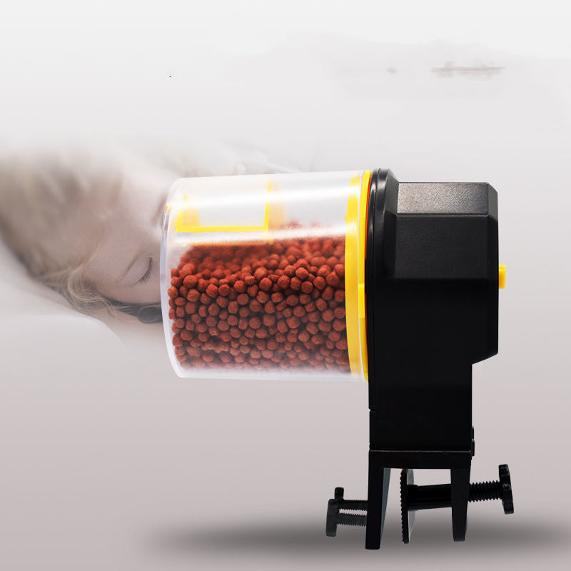 Goldfish Feeding Fish Feeder