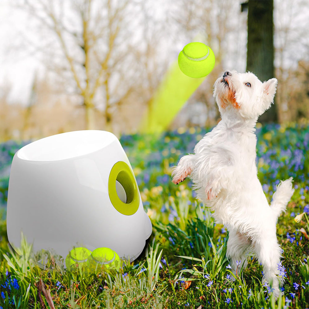 Pet Automatic Electric Tennis Launcher