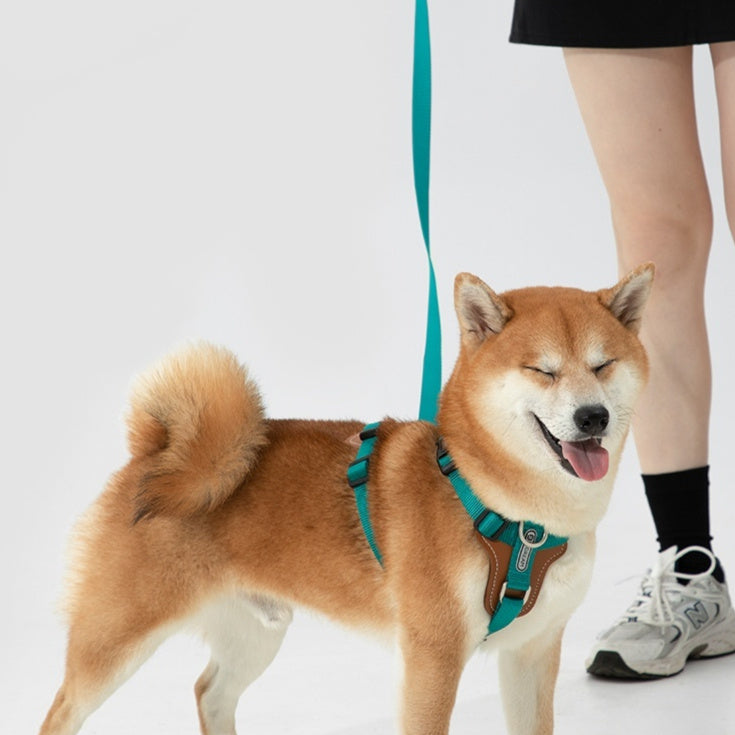 Multifunctional Explosion-proof Dog Leash