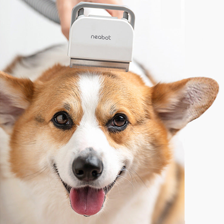 Pet Grooming Device Com