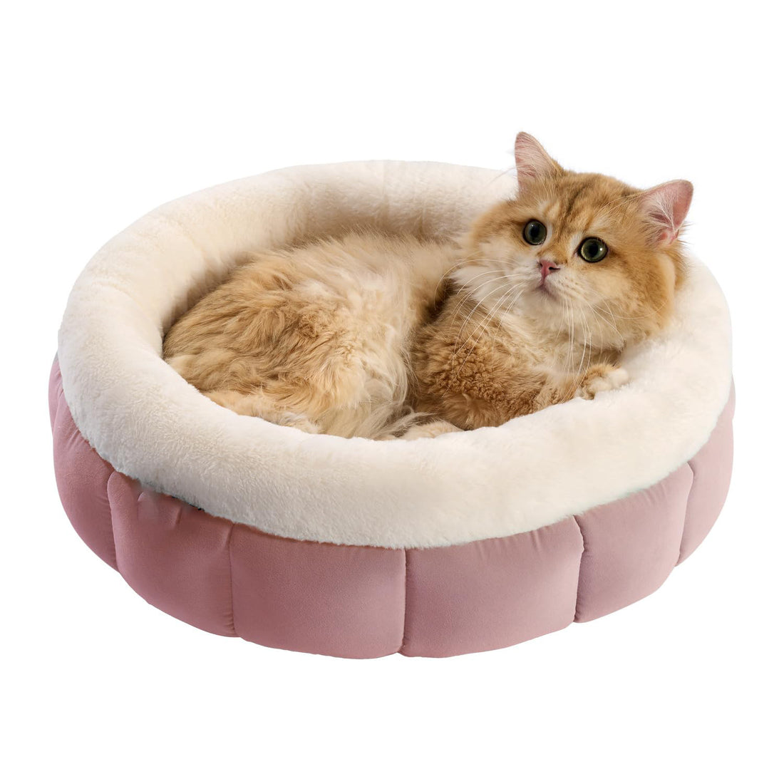Round Cat Beds For Indoor Cats