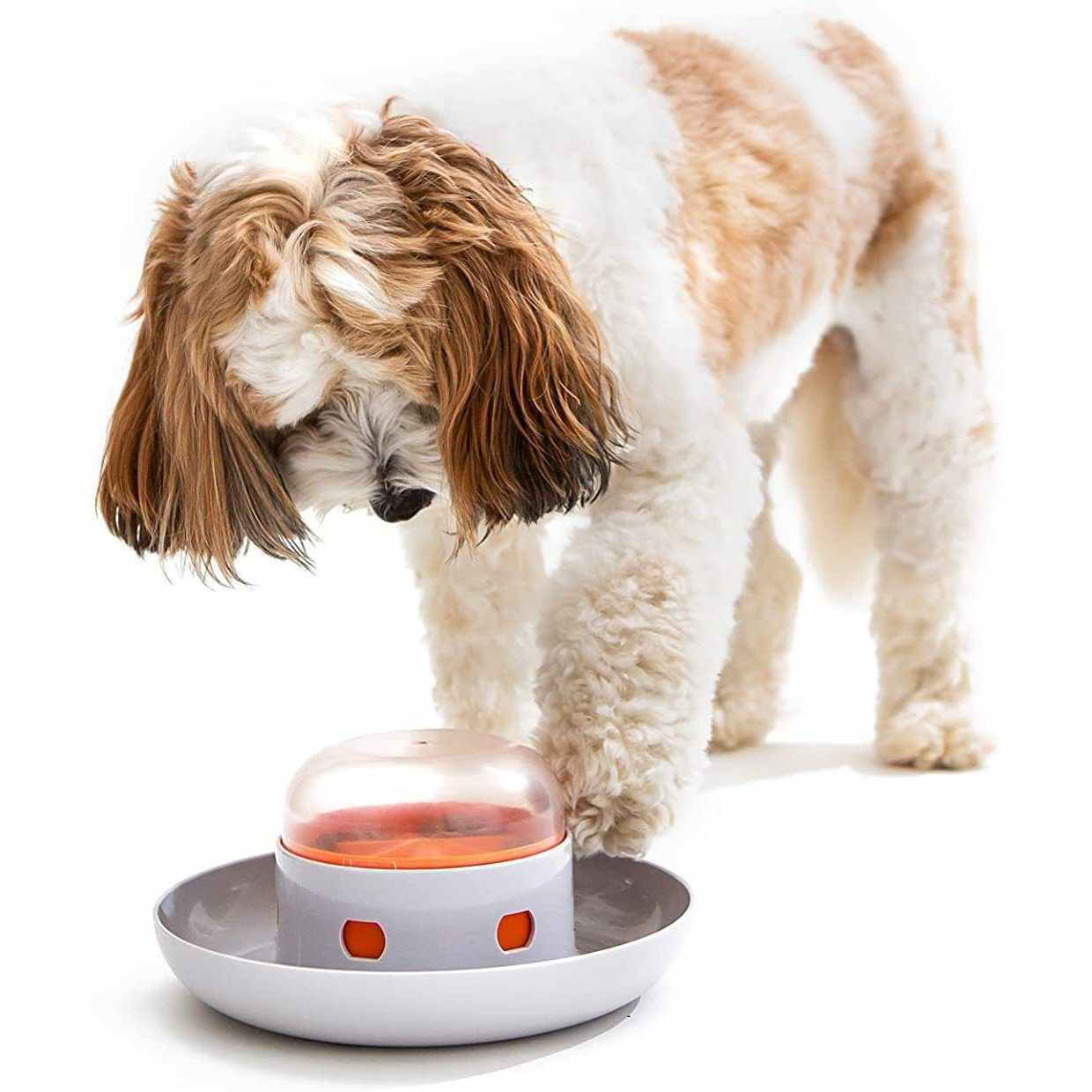 Dog Press Leakage Food Automatic Pet Feeder