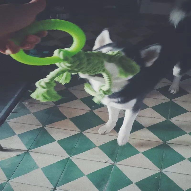 Modern Dog Bite Toy