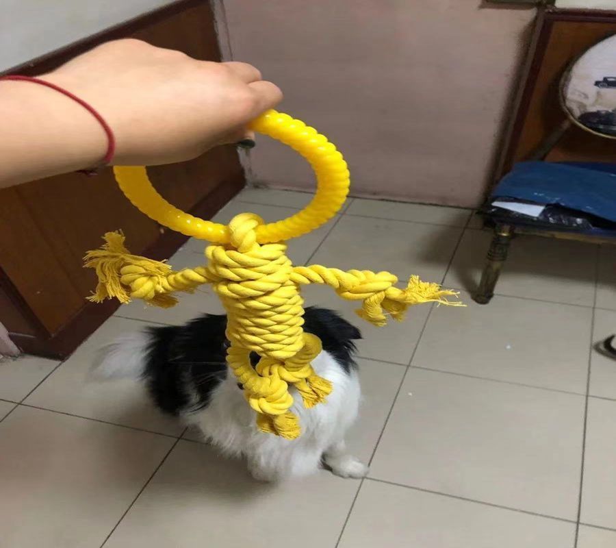 Modern Dog Bite Toy