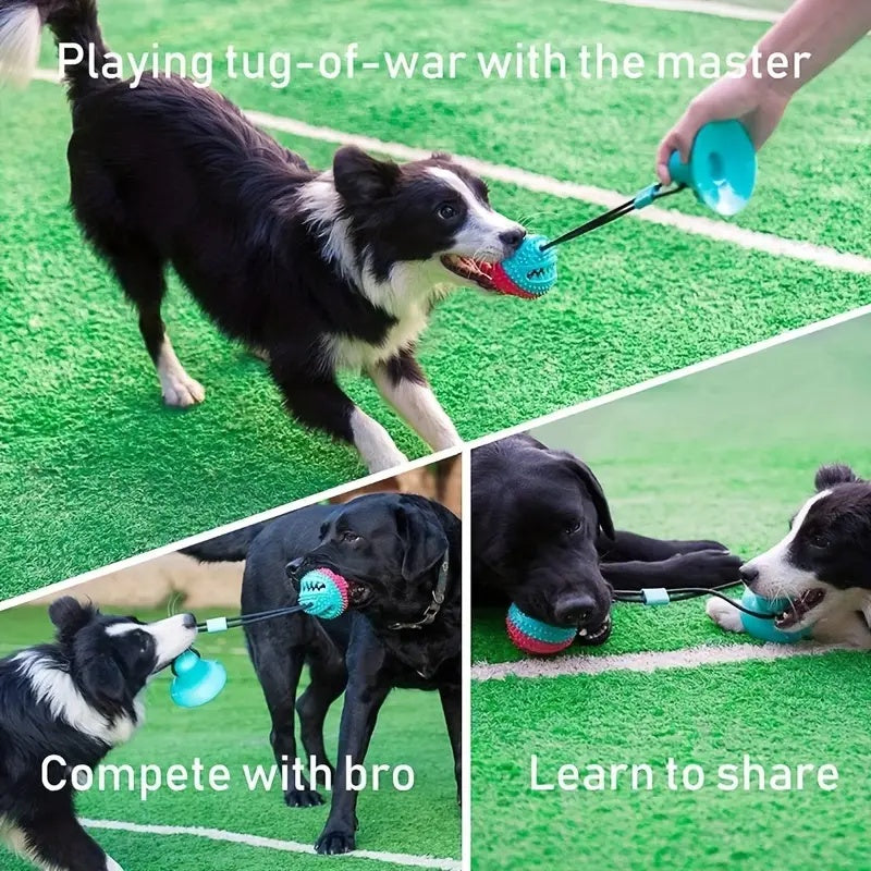 Interactive Dog Toys For Aggressive Chewers