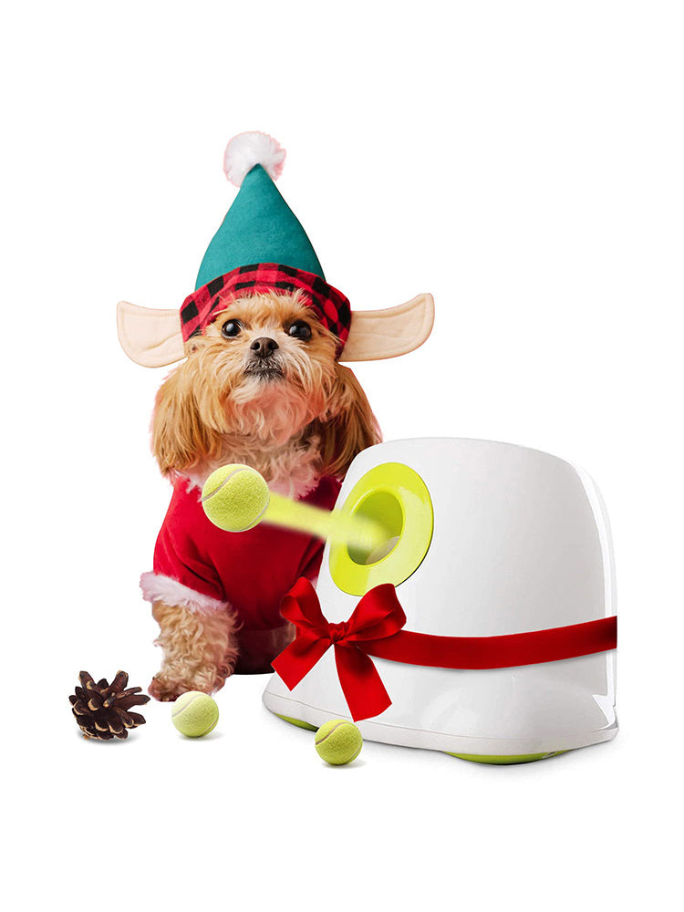 Pet Automatic Electric Tennis Launcher