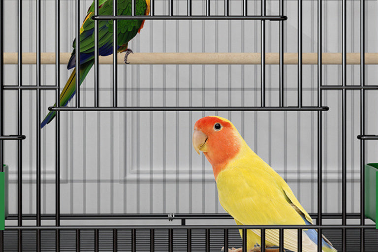 Personality Double Layer Bird Cage