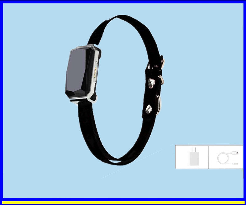 Pet Locator Beidou Gps Collar