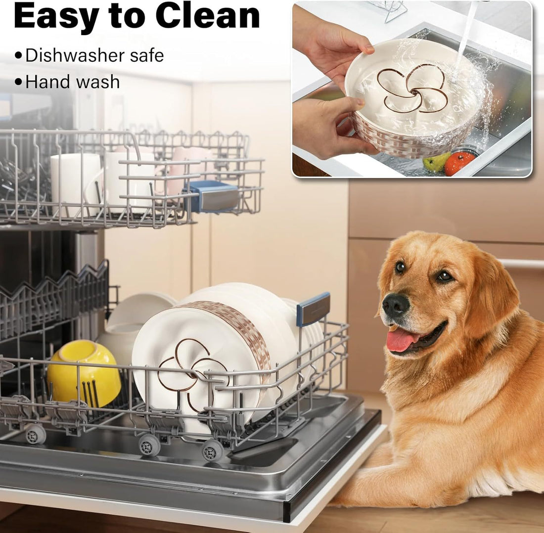 Ceramic Slow Dog Feeder