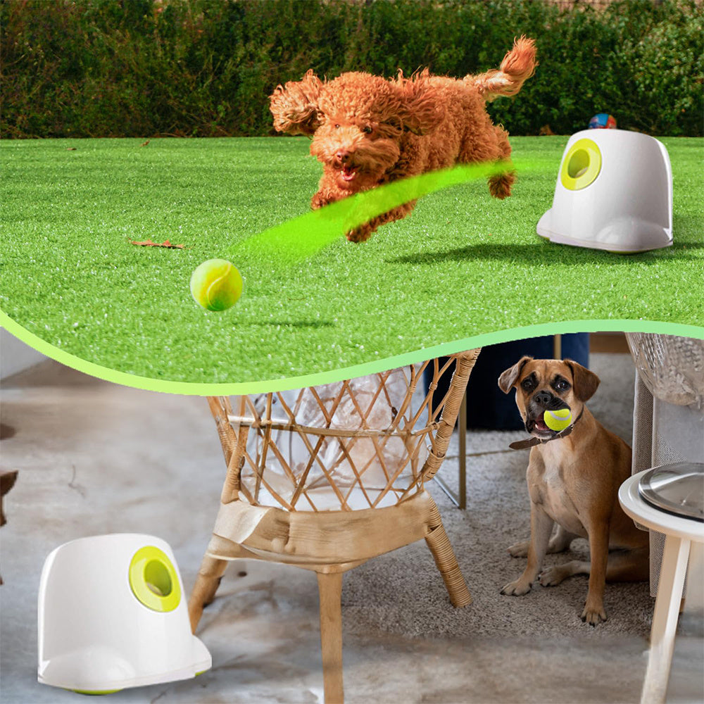 Pet Automatic Electric Tennis Launcher