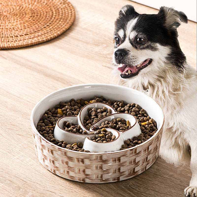 Ceramic Slow Dog Feeder